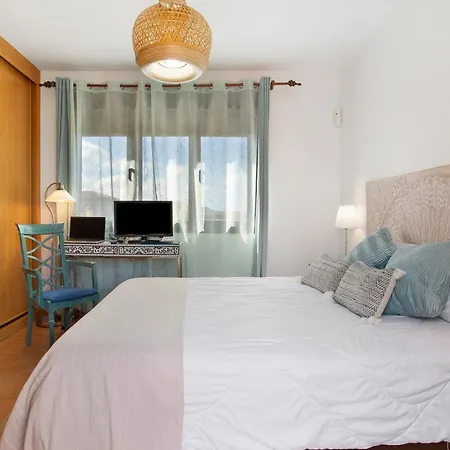 Amadeus 라 올리바