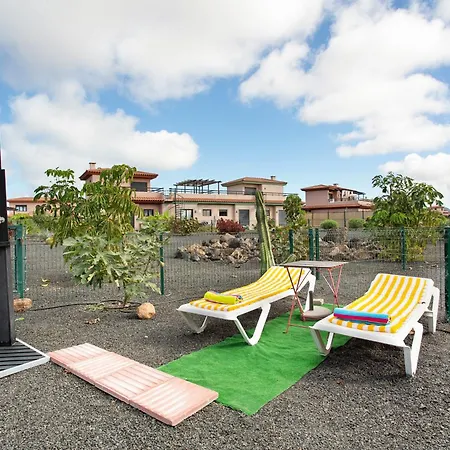 Amadeus * 라 올리바