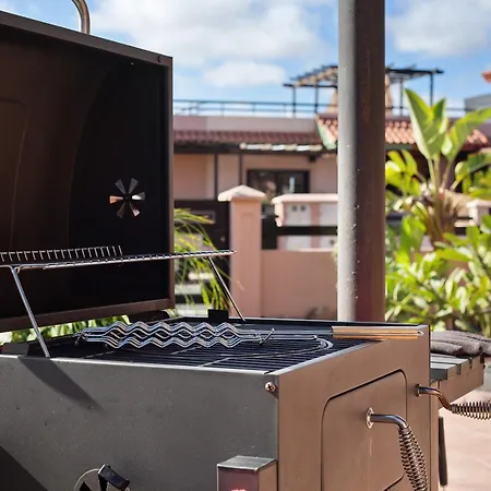 Amadeus * لا أوليفا